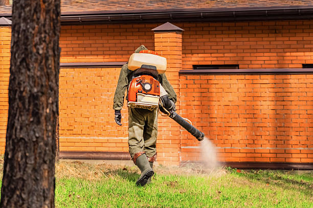 Trusted Cockroach Control service in Clarion, PA - Nex Pest Control